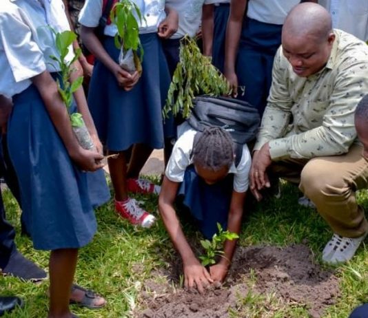 RDC : un projet instituant les jardins scolaires pour 1 milliards d’arbres adopté en conseil des Ministres