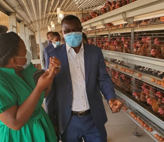 Haut-Katanga: Julien Paluku visite la ferme “CONGO OEUFS”, qui dispose d’une capacité de production de 6 millions d’œufs par mois