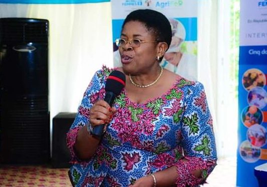 RDC-entrepreneuriat féminin: Elysée Munembwe plaide pour la vulgarisation de l’indicateur “Paiement des Taxes et Impôts”
