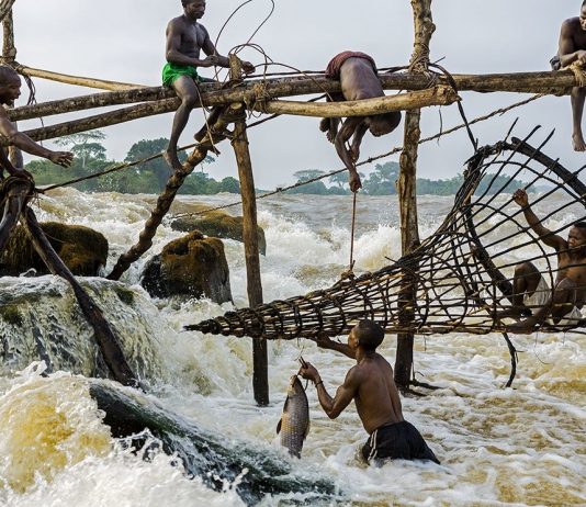 RDC: le secteur de Pêche et Elevage se dote d’un Plan stratégique