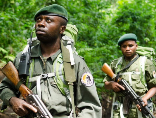 Ituri : deux éco-gardes tués et 5 autres grièvement blessés à Adusa