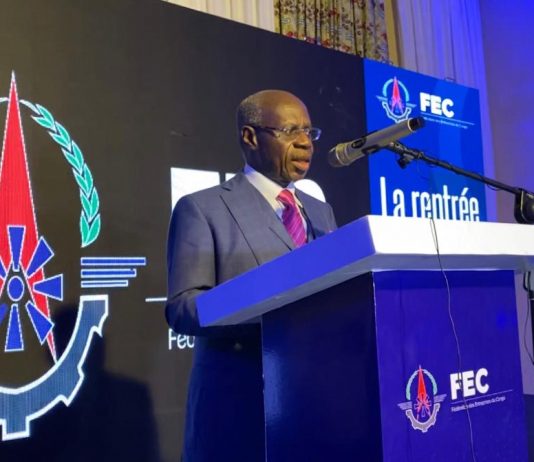 RDC: l’importation du ciment gris de Brazzaville déstabilise la cimenterie locale, accroît la pauvreté et le chômage (FEC)