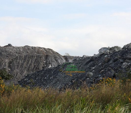 RDC- embellie des cours des matières premières: la tonne de cobalt se négocie à 52.000 USD et celle de cuivre à 9.000 USD