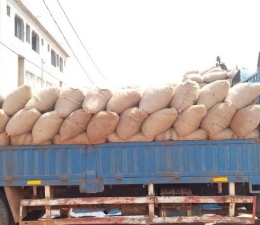 Nord-Kivu: saisie au poste-frontière de l’Ouganda de 600 tonnes de cacao, exportées avec des faux documents