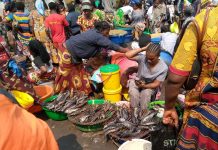 RDC : le gouvernement veut formaliser l’économie informelle