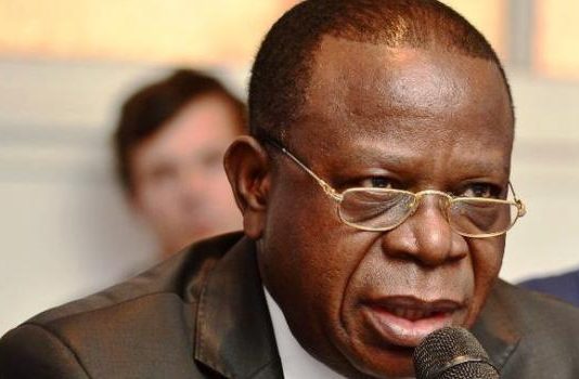 RDC: Bahati Lukwebo nommé informateur