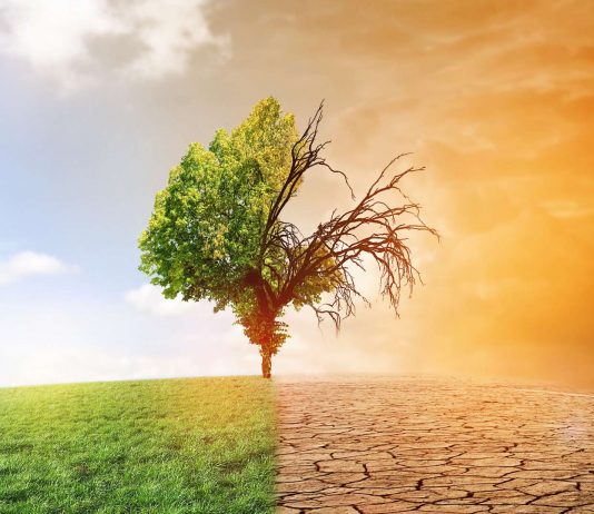 Afrique: la BAD veut mobiliser 25 milliards USD pour un programme d’adaptation au changement climatique