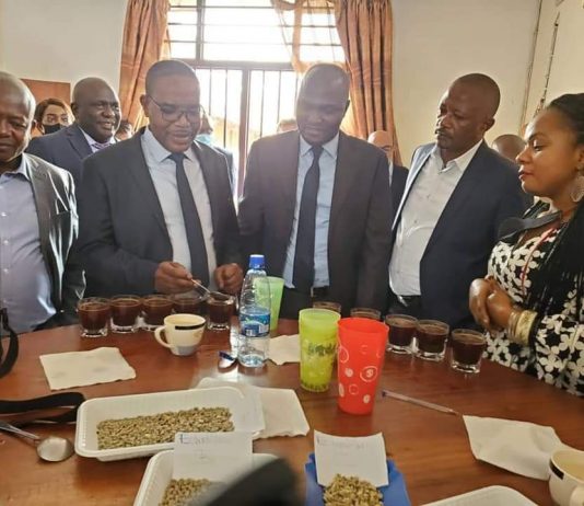 Bukavu: Onapac installe une usine de deparchage du café d’une capacité de 5 tonnes par heure