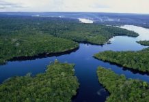 UNESCO 2026 : Judith Suminwa place la RDC au cœur des enjeux de l’eau et de l’éducation