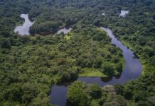 RDC : le corridor vert Kivu–Kinshasa lance son premier convoi et relance l’espoir du commerce intérieur