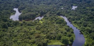RDC : le corridor vert Kivu–Kinshasa lance son premier convoi et relance l’espoir du commerce intérieur