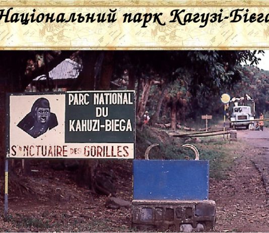 Sud-kivu: l’Union Européenne annonce un soutien à la fondation Panzi et à la préservation du Parc de Kahuzi Biega