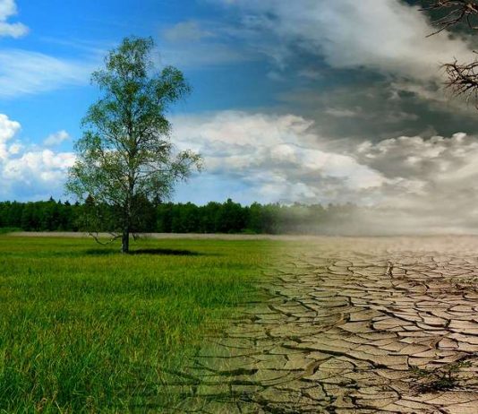 Sommet virtuel sur le climat : Félix Tshisekedi invité par le président américain Joe Biden