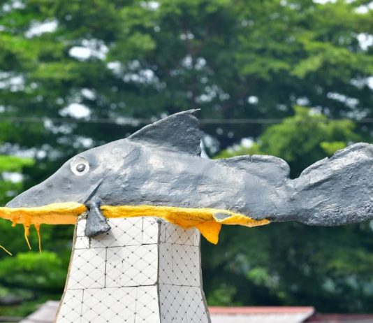 Kinshasa: A Kinkole, Félix Tshisekedi promet la relance de l’Office national de pêche