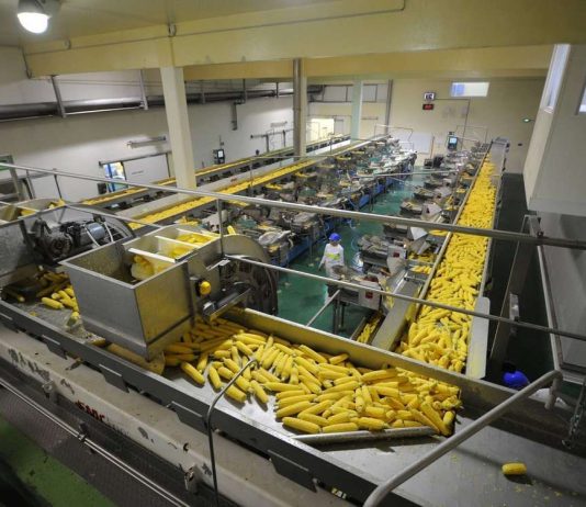 RDC : 93,1 millions USD approuvés par la Bad pour le développement du parc agro-industriel de Ngandajika