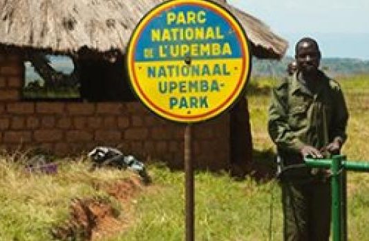 RDC: le parc national de l’Upemba, bientôt 82 ans
