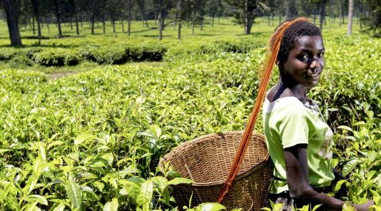 RDC-investissements: la PEAC fixe au 24 avril l’organisation d’un forum sur l’entrepreneuriat vert