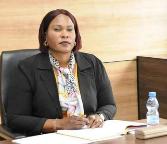 Lualaba: L’Armp annule un marché de gré à gré “irrégulier” de 58 millions USD conclu entre Fifi masuka et Invest Congo S.A.S.U