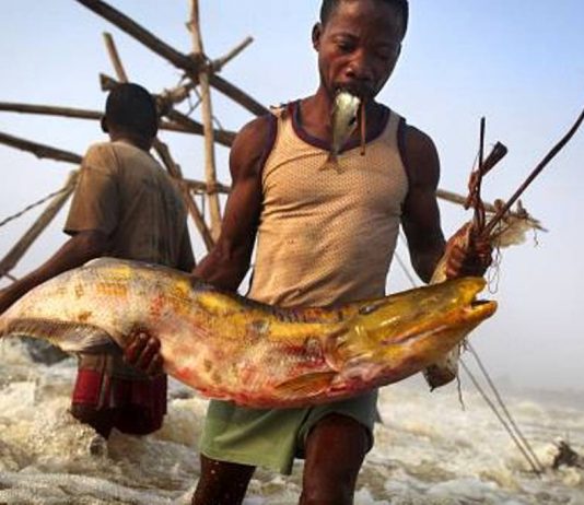 RDC-Budget 2021: le gouvernement a dépensé 25.759 USD en faveur du secteur de la pèche au premier trimestre