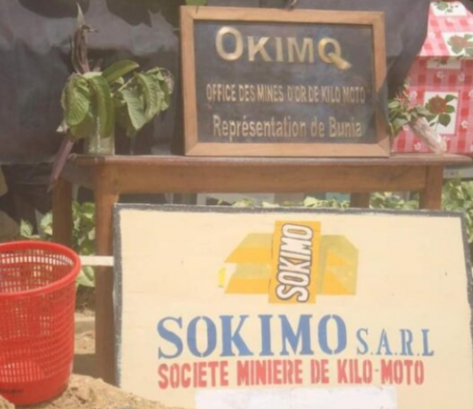 SOKIMO: un administrateur en suisse à la recherche de 16 millions USD nécessaires pour la réhabilitation de l’Electrokimo