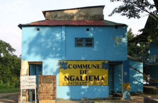 RDC: les recettes propres de 24 communes de la ville de Kinshasa évaluées à 6,9 millions USD