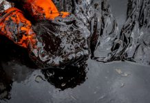 RDC : la lutte contre la fraude pétrolière propulse les recettes de l’État de 4 à 80 milliards de francs congolais.