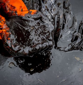 RDC : 44,4 millions USD certifiés, une victoire économique pour l’État