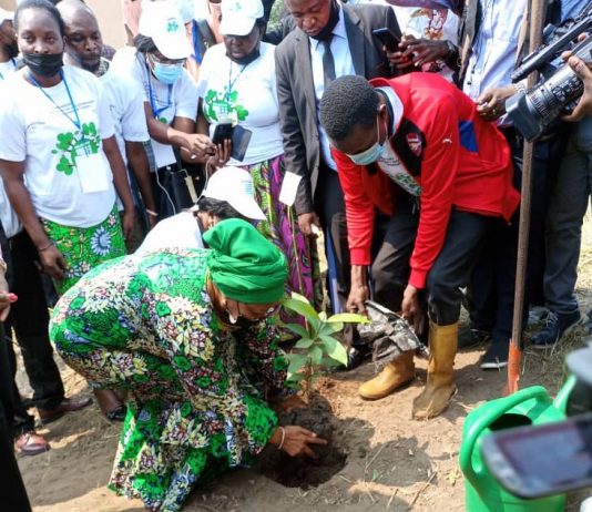 RDC-projet de planter un milliard d’arbres : Eve Bazaiba reçoit l’adhésion des parlementaires