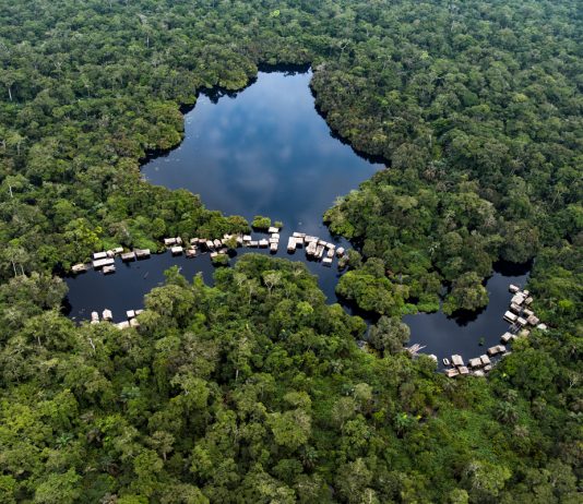 Protection des forêts: le Brésil et la RDC envisagent un partenariat gagnant-gagnant