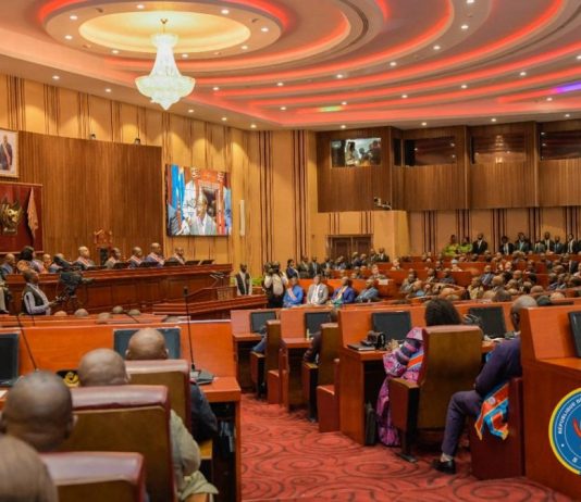 RDC/maximisation des recettes: le Sénat annonce des enquêtes dans les services publics