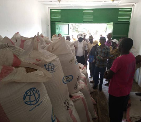 Tanganyika: vers la restructuration du Projet « Picagl »