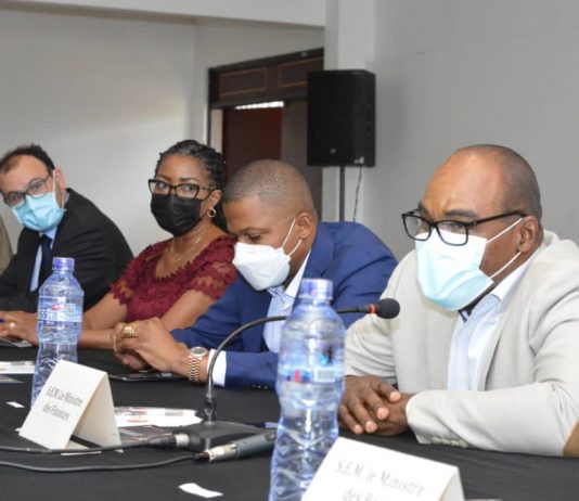 RDC: Perenco dispose des atouts nécessaires pour la transformation du gaz de Moanda en énergie électrique (Gouvernement)