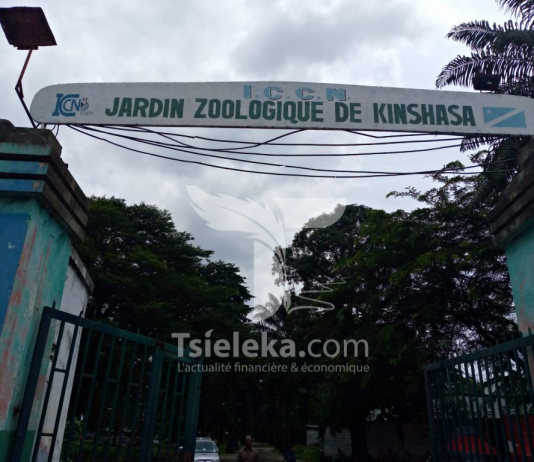 RDC: le jardin botanique et Zoologique de Kinshasa fait l’objet de spoliation (Eve Bazaïba)