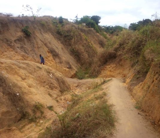 RDC-Réhabilitation de la route Nzolana, les conseillers de Felix Tshisekedi inspectent cette route très délabrée.