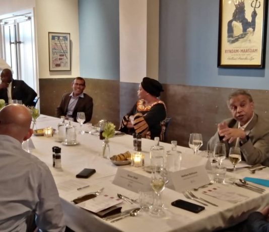 RDC: Eve Bazaiba au pays-bas pour prendre part à une conférence sur le changement climatique