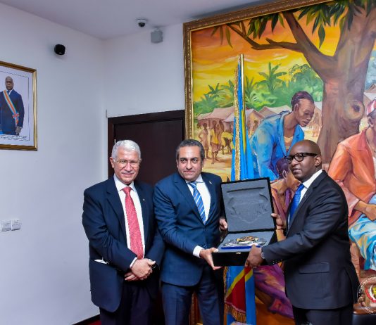 RDC: la société égyptienne Arab Contractors compte collaborer avec le gouvernement dans le génie civil