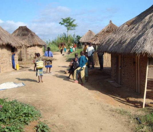 RDC: 4,7 millions $ dépensés à fin septembre pour les investissements du secteur de développement rural