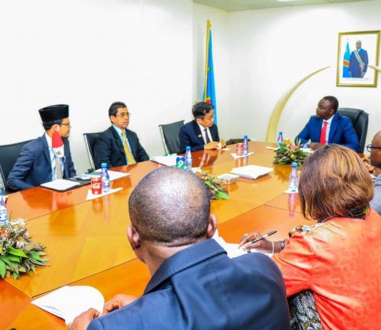 RDC-Indonésie : des discussions autour du commerce mondial de carbone