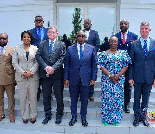RDC: la société allemande Geoscan veut apporter ses services en matière des batteries électriques