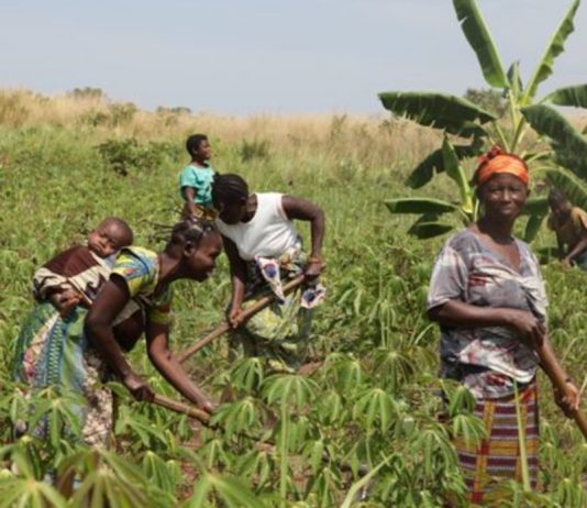 Orange et ONU Femmes s’unissent pour l’autonomisation des femmes en Afrique centrale et de l’Ouest
