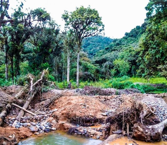 Bukavu: dialogue politique pour une gestion durable de la Réserve Naturelle d’Itombwe