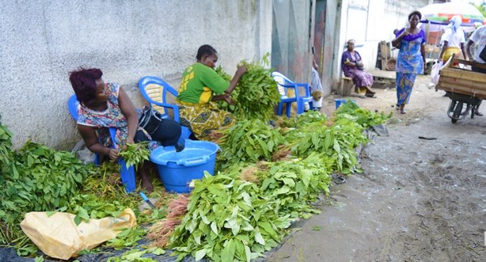 legumes-au-sol-marche-brazzaville