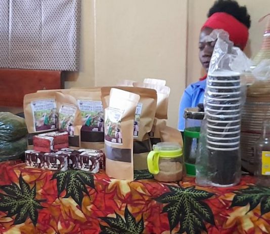 Bukavu: 35 Femmes porteuses des projets s’engagent à relever les défis liés à l’entrepreneuriat féminin au Sud-Kivu