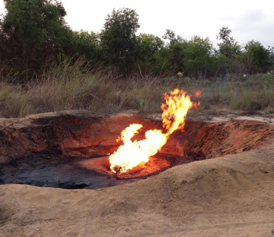 RDC: l’exploitation des blocs pétroliers en vente pourrait remettre en cause l’accord signé avec le CAFI (Greenpeace)