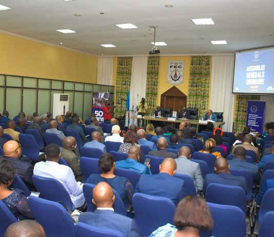 RDC: le STDA et la taxe rémunératoire de l’Arptc dégradent davantage le climat des affaires (Albert Yuma)