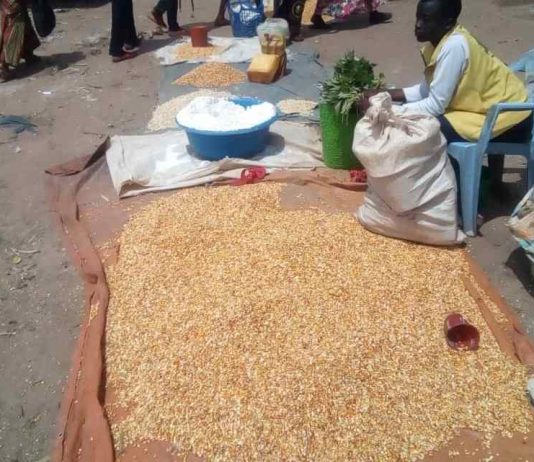 Lomami: hausse du prix de maïs à Mwene-ditu, une mesurette de 3,5 kg passe de 2000 à 3000 FC