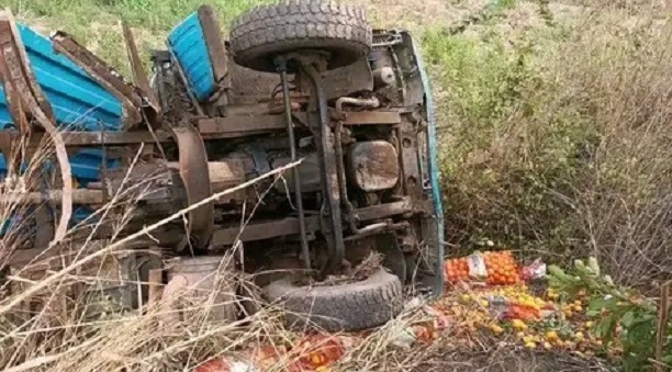 WhatsApp Image 2022-08-17 at 18.42.23