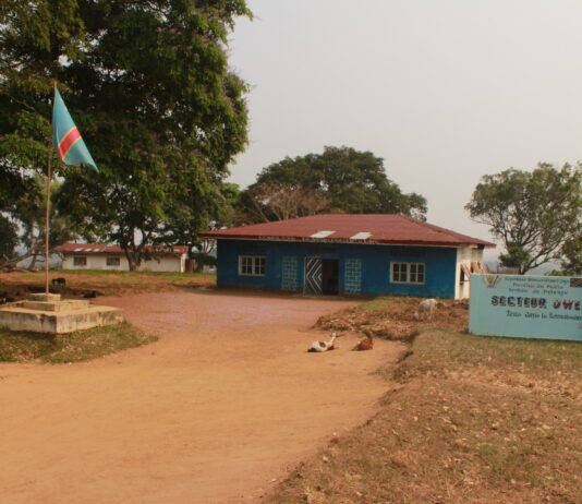 RDC: nomination des Chefs des secteurs par le ministère de l’intérieur, Eustache Muhanzi dénonce l’empiètement de ses prérogatives