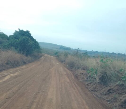 Kongo-Central: Le Gouverneur Grâce Nkuanga Bilolo a lancé les travaux de réhabilitation de la route de desserte agricole à Luozi