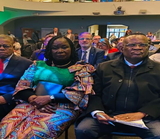 RDC: le FPI invite la diaspora à venir investir en Afrique